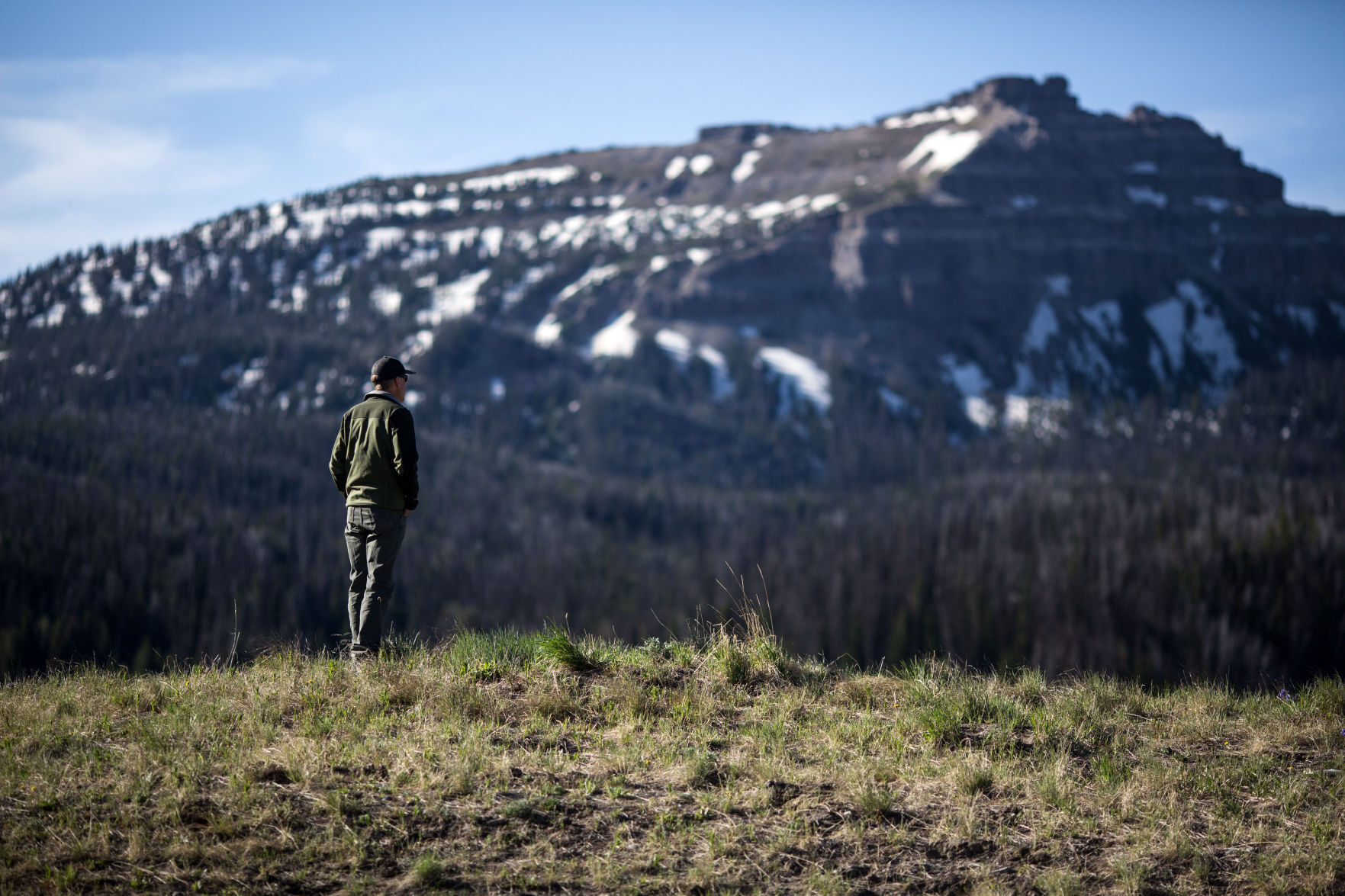 Grizzly bear 863 hazing